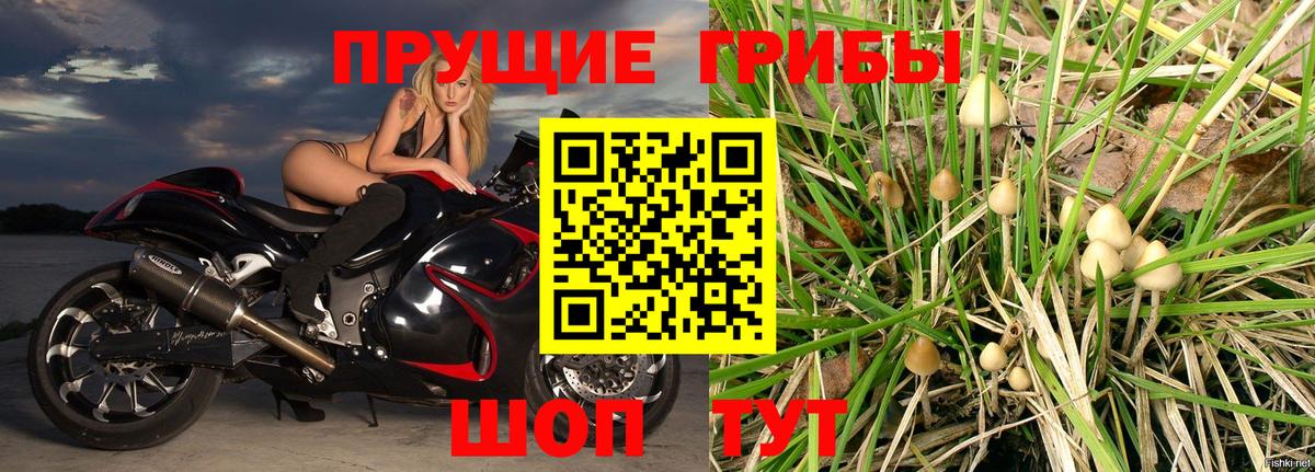 Галлюциногенные грибы прущие грибы  Вход с VPN  Нерюнгри 