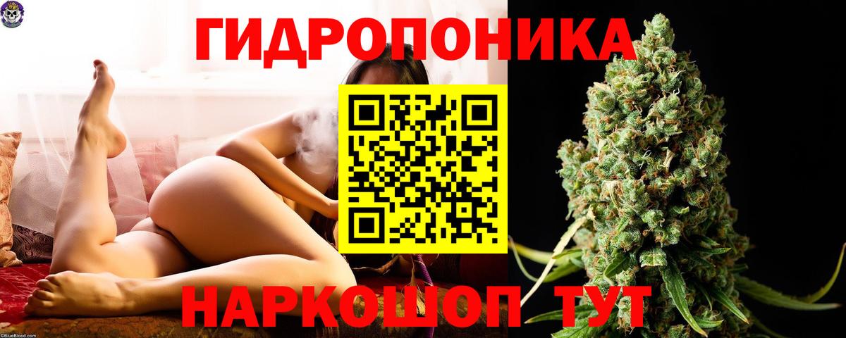 Канабис сатива Нерюнгри